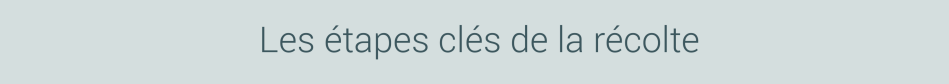 Les étapes clés de la récolte