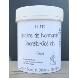 LE MIX - POUDRE - BOITE 90G