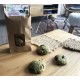 Cookies Bio Spiruline & Cranberries - Sachet 140g