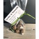 Energy Balls Choco Noisette à la Spiruline de Normandie -Sachet de 10 Balls